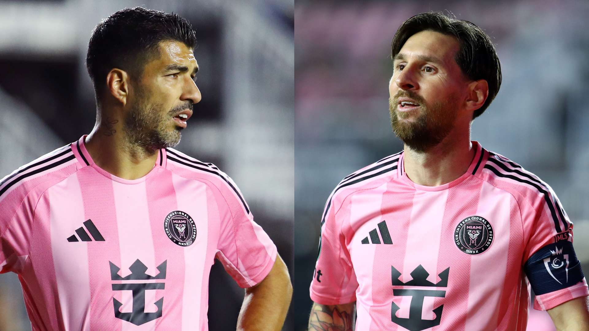 考察细节以 考察细节以